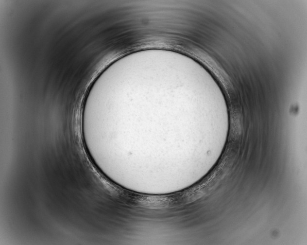 X0000103401290200810100925