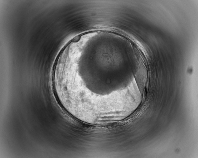 X0000103401291200810100925