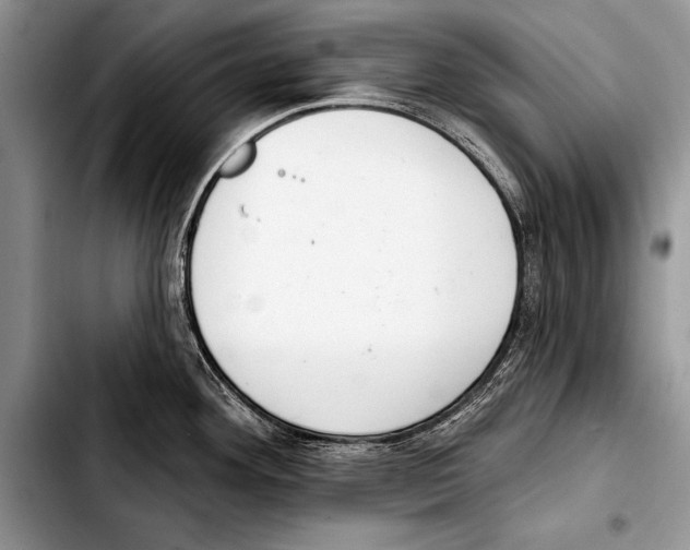 X0000103401292200810100925