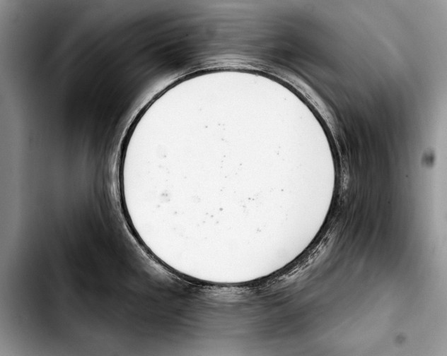 X0000103401293200810100925