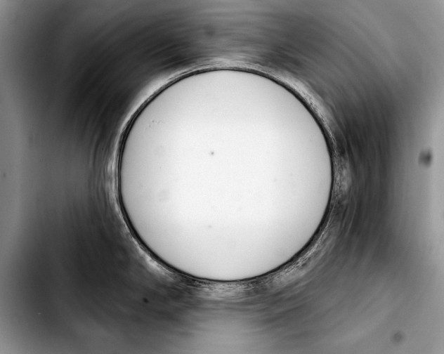 X0000103401294200810100925