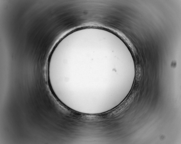 X0000103401295200810100925