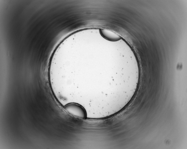 X0000103401296200810100925