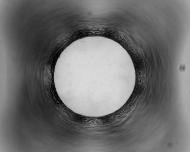 X0000103401298200810100924