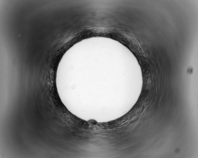 X0000103401301200810100924