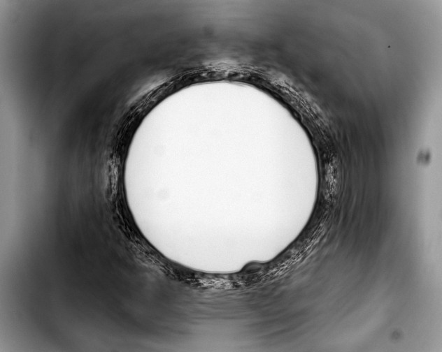 X0000103401302200810100924