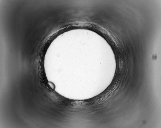 X0000103401304200810100924