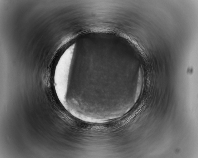 X0000103401306200810100924