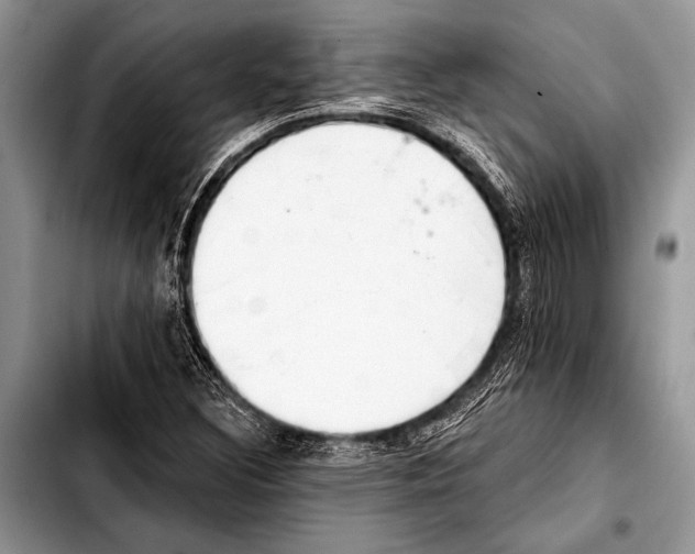 X0000103401308200810100925