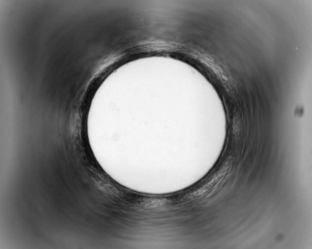 X0000103401309200810100925