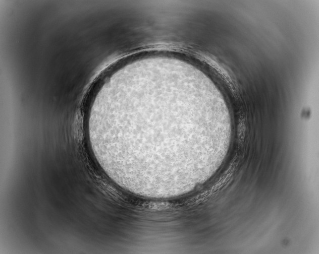 X0000103401310200810100925