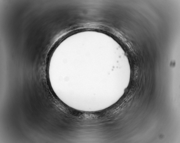 X0000103401312200810100925