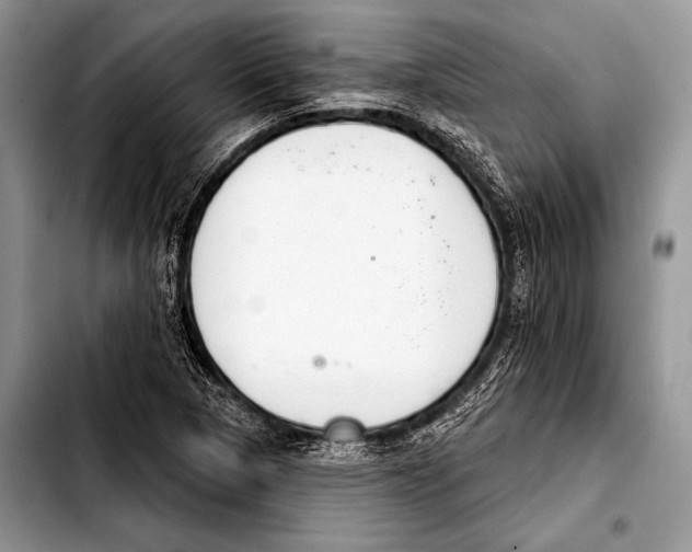 X0000103401313200810100925