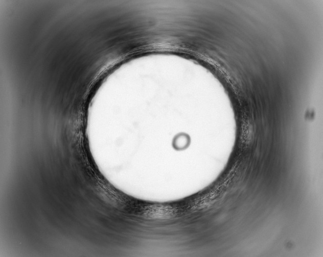 X0000103401314200810100925