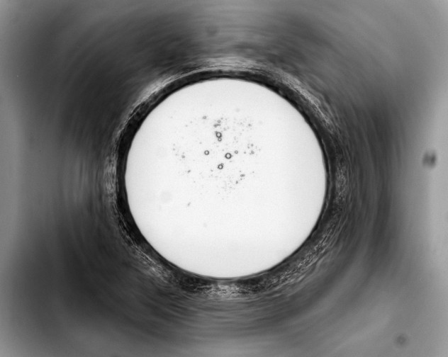 X0000103401315200810100925