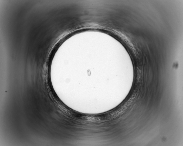 X0000103401318200810100925