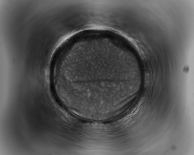 X0000103401319200810100925