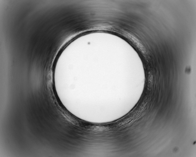 X0000103401324200810100925