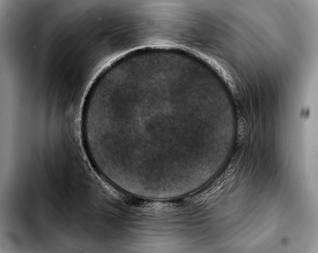 X0000103401327200810100925