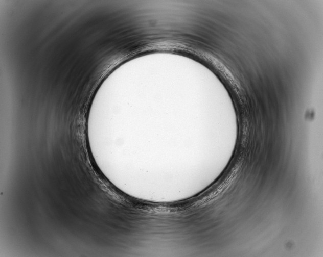 X0000103401329200810100925