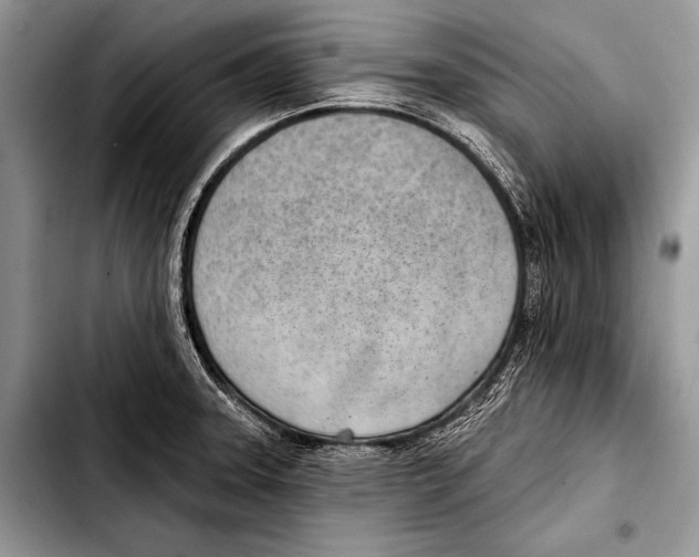 X0000103401331200810100925