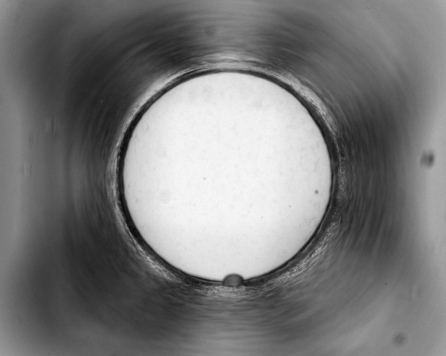 X0000103401333200810100925