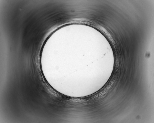 X0000103401336200810100925