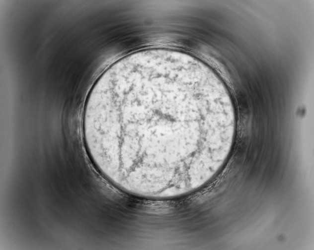 X0000103401338200810100925