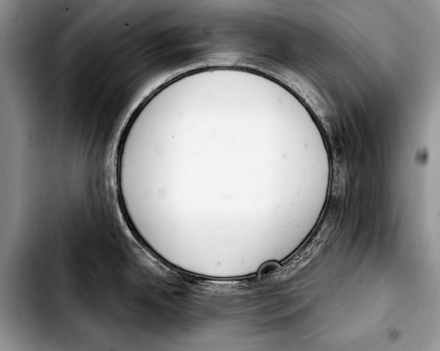 X0000103401342200810100925