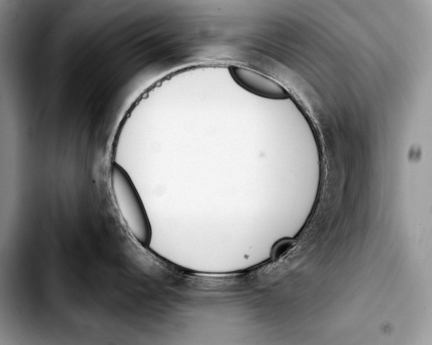 X0000103401344200810100925