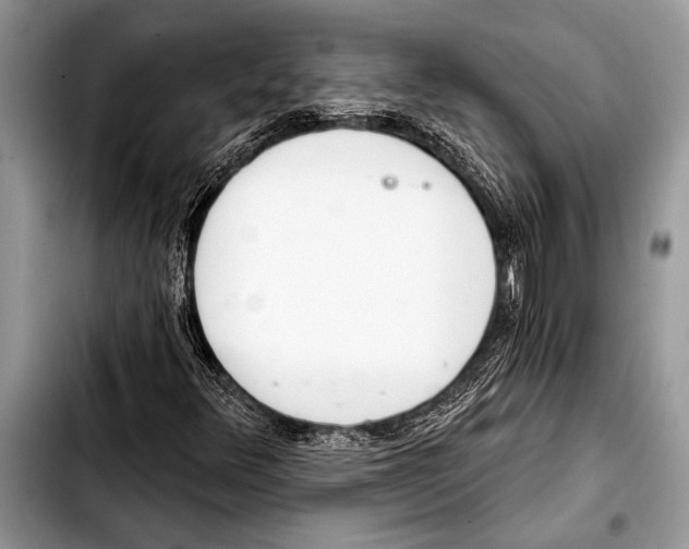 X0000103401348200810100924