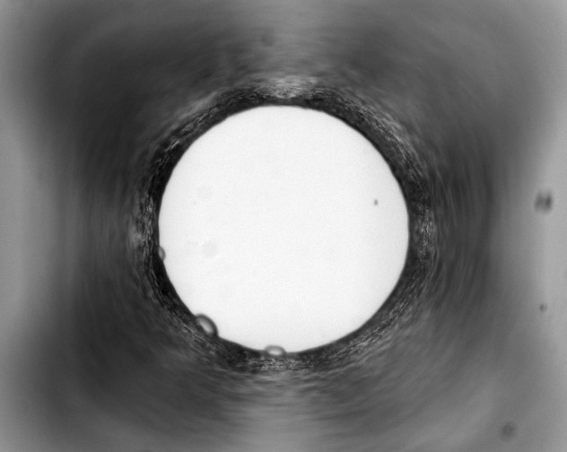 X0000103401349200810100924