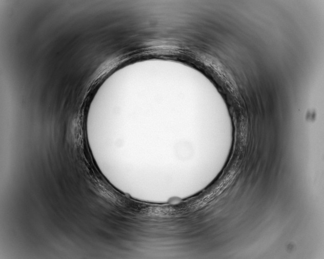 X0000103401354200810100924