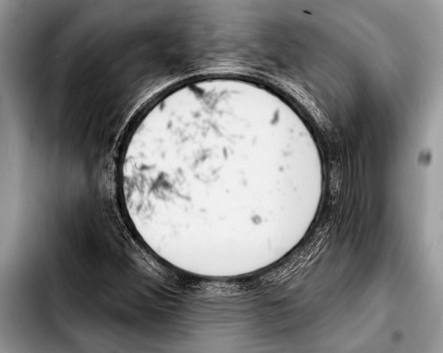 X0000103401356200810100924