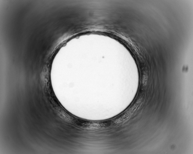 X0000103401359200810100924