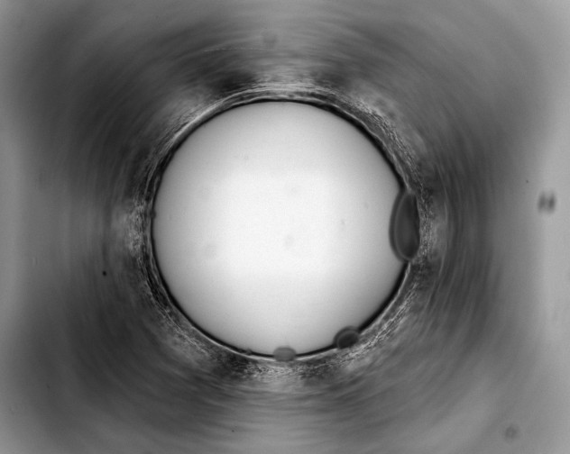 X0000103401361200810100924