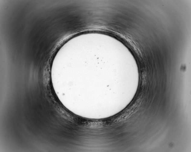 X0000103401363200810100924