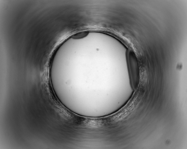 X0000103401365200810100924