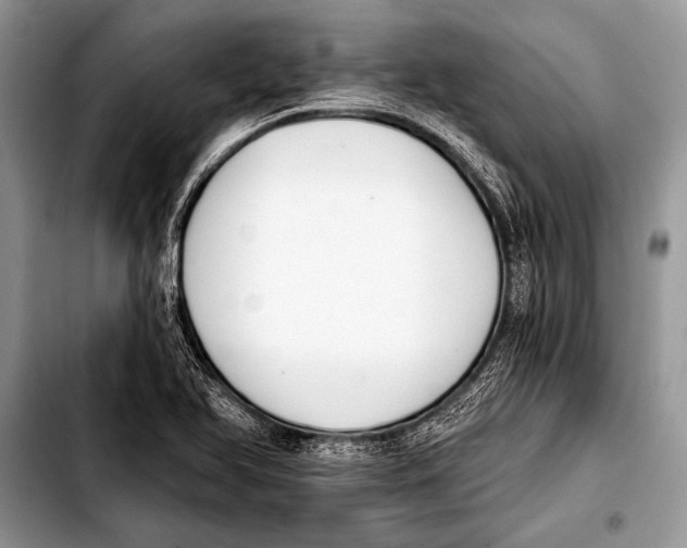 X0000103401366200810100924