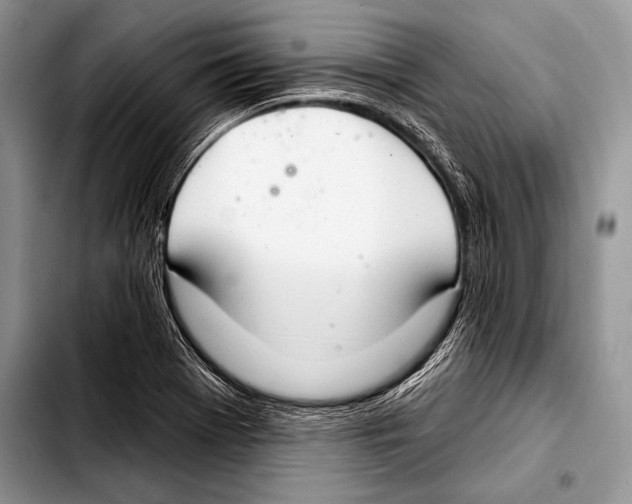 X0000103401369200810100924