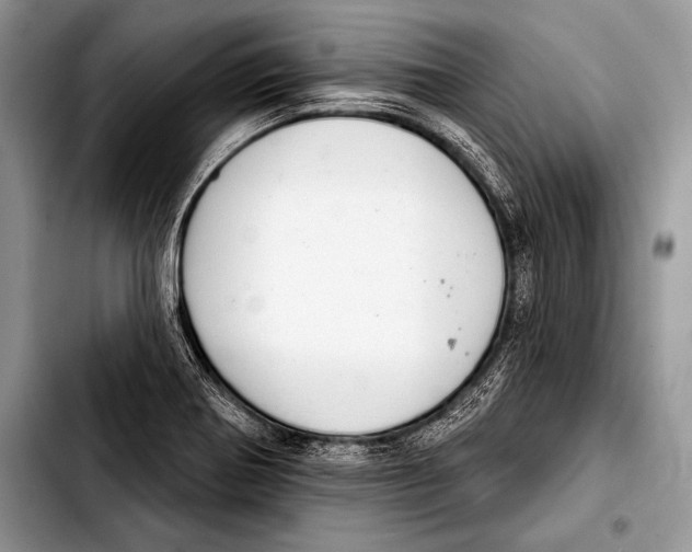 X0000103401370200810100924