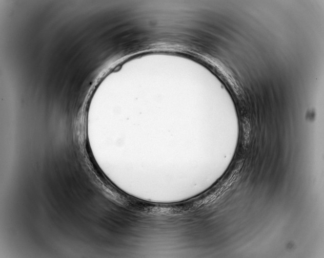 X0000103401371200810100924