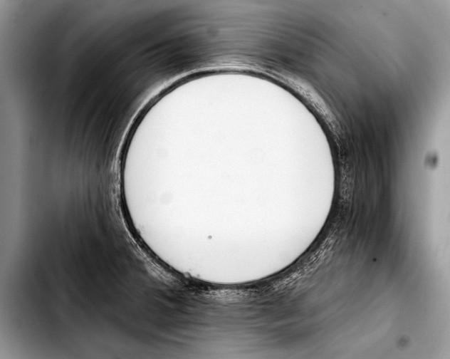 X0000103401380200810100924