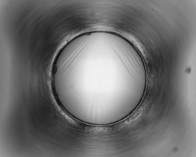 X0000103401381200810100924