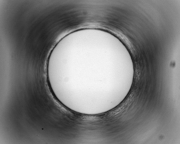 X0000103401382200810100924