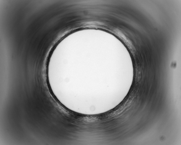 X0000103401384200810100924