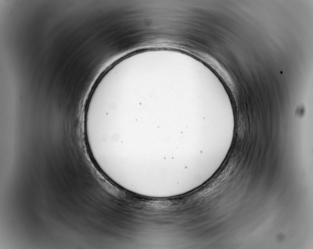 X0000103401388200810100924