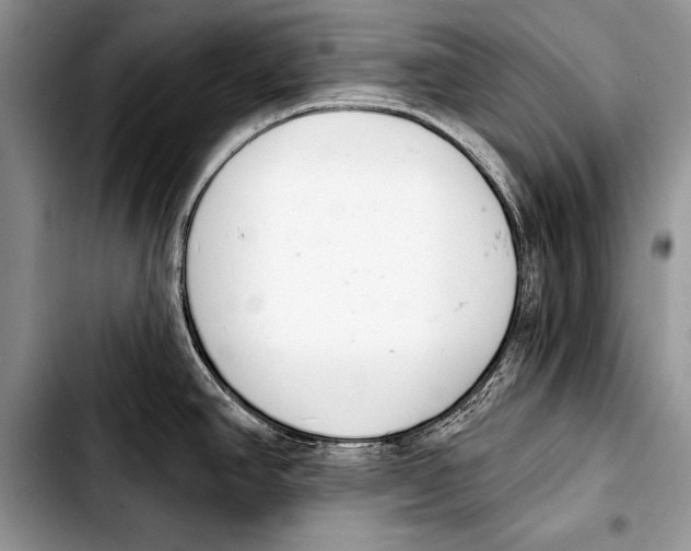 X0000103401390200810100924