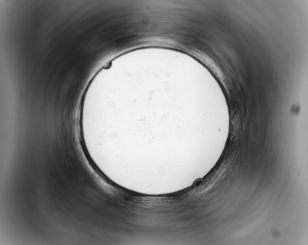 X0000103401391200810100924