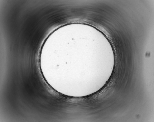 X0000103401392200810100924